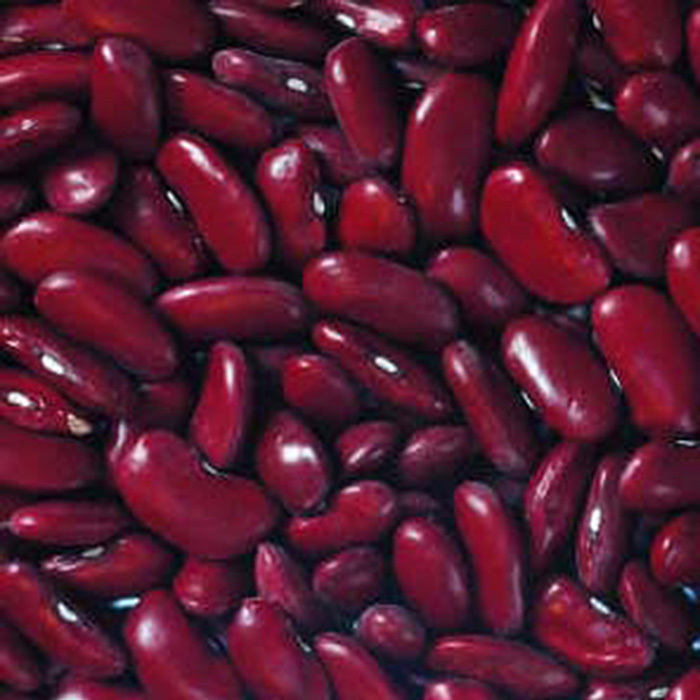Bansi Dark Red Kidney Beans 2l